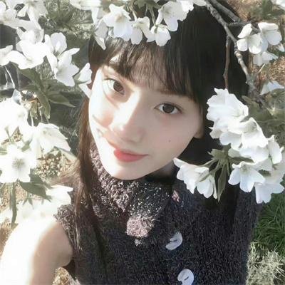 骨头先生